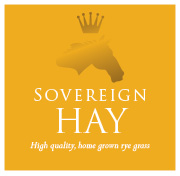hay